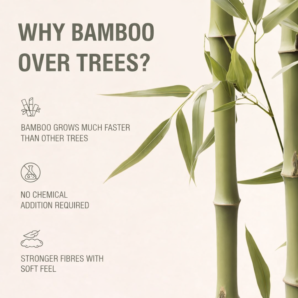 BAMEA Toilet Tissue Rolls | 3-ply, 1600 Pulls (160 x 10 Rolls) | Tissue Paper Roll, Toilet Paper Roll - Eco Friendly, Soft & Highly Absorbent, 100% Natural Bamboo, Chemical-Free, Hypoallergenic